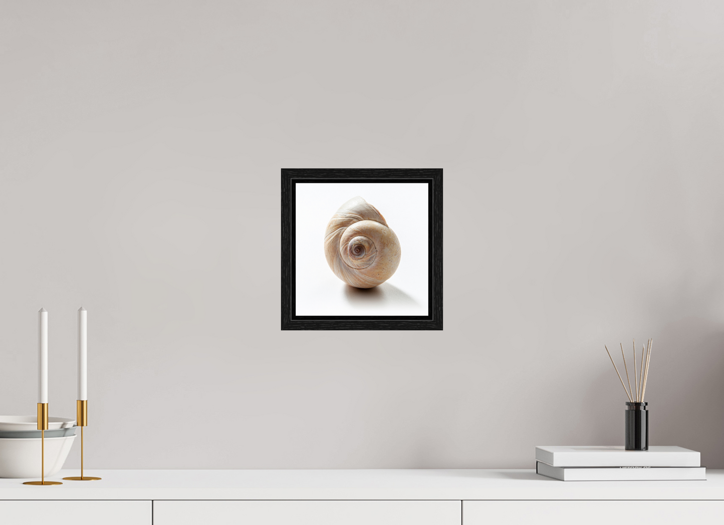 8 x 8″, Floater Frame Large Sea Shell