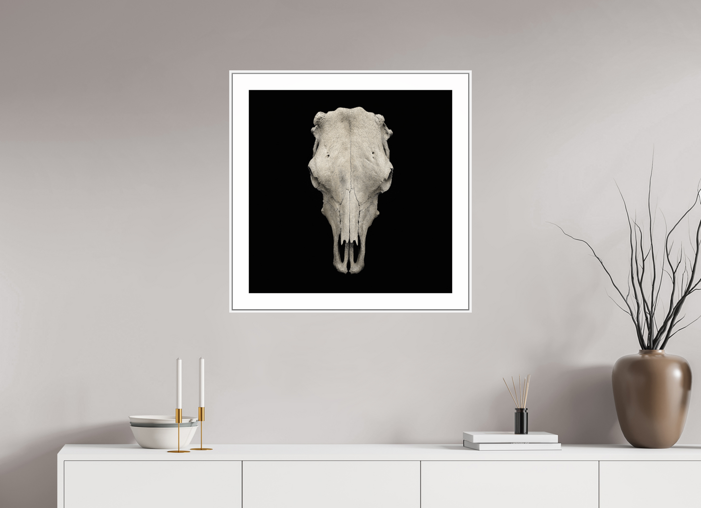 Cow Skull