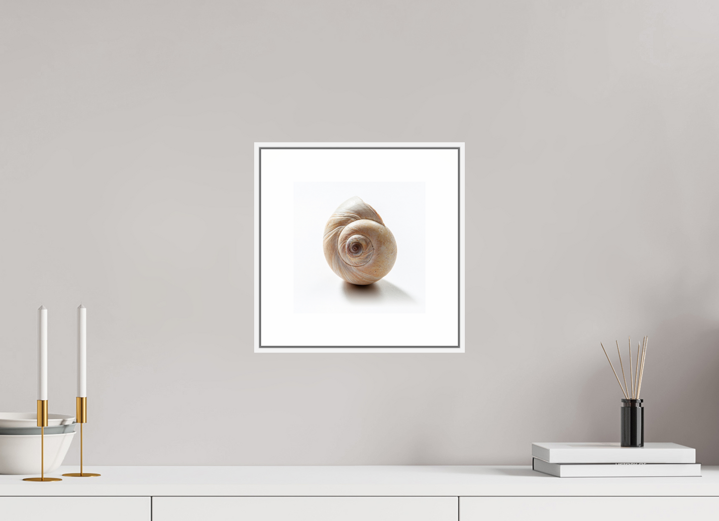 8 x 8″, White Matte Frame Large Sea Shell