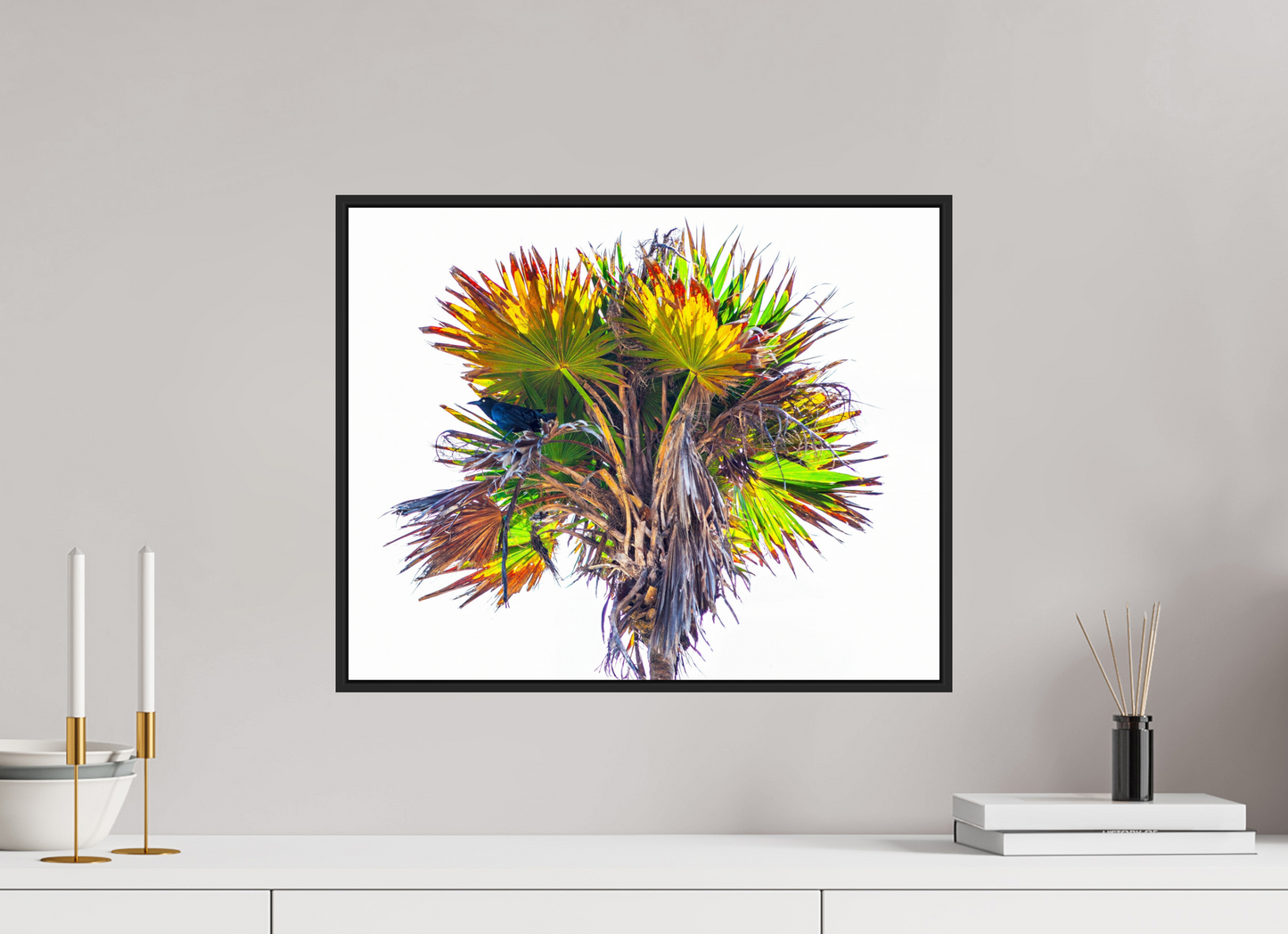 Black Bird in Palm Tree