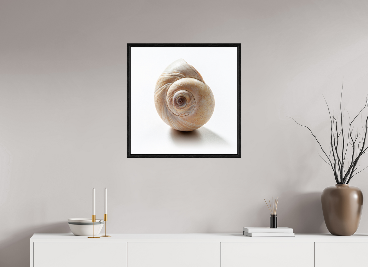 25 x 25″, Floater Frame Large Sea Shell