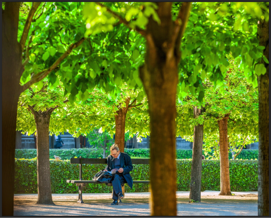 Man Reading in Paris Garden