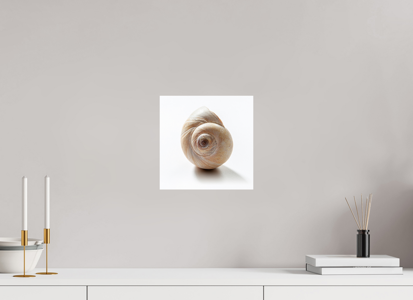 10 x 10″, Frameless Acrylic Glass Large Sea Shell