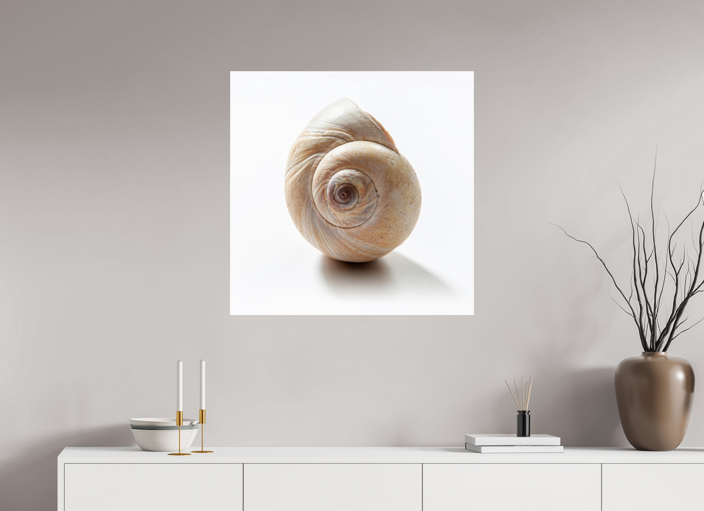 30 x 30″, Frameless Acrylic Glass Large Sea Shell